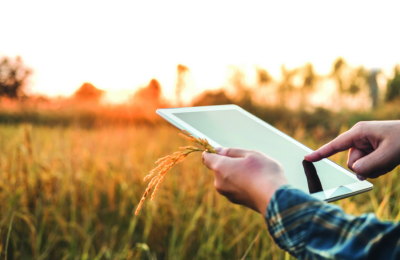 Mann bedient Tablet und steht auf einem Feld
