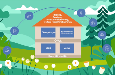 Illustration der Grünen Architektur mithilfe eines Hauses