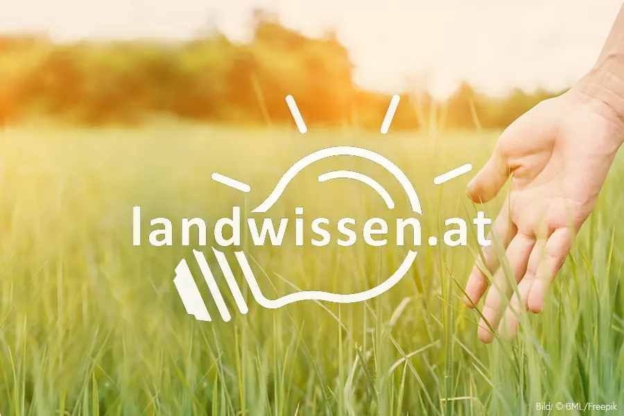 Getreidefeld mit Hand und mit Logo der Plattform Landwissen