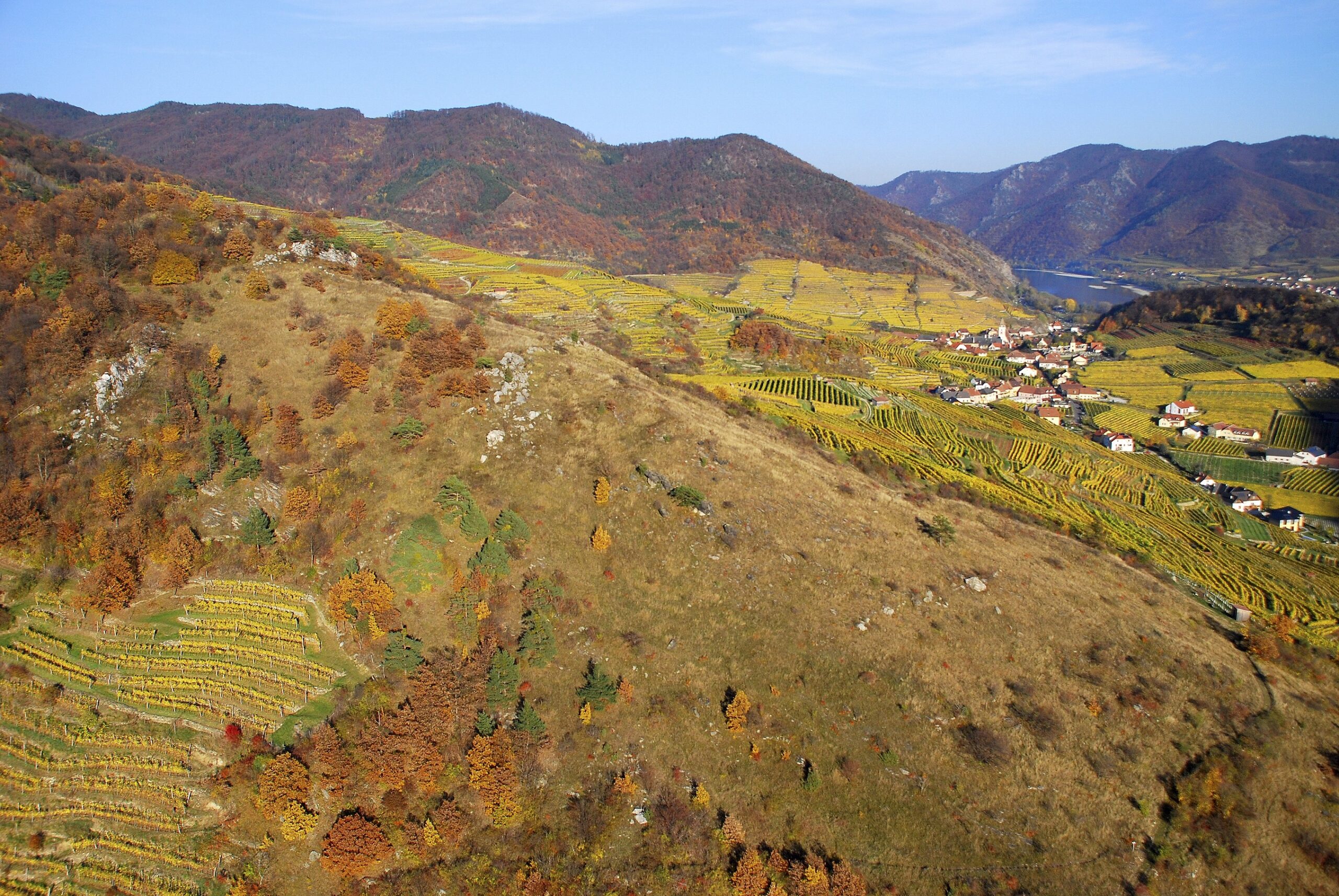 Weinbau in der Wachau