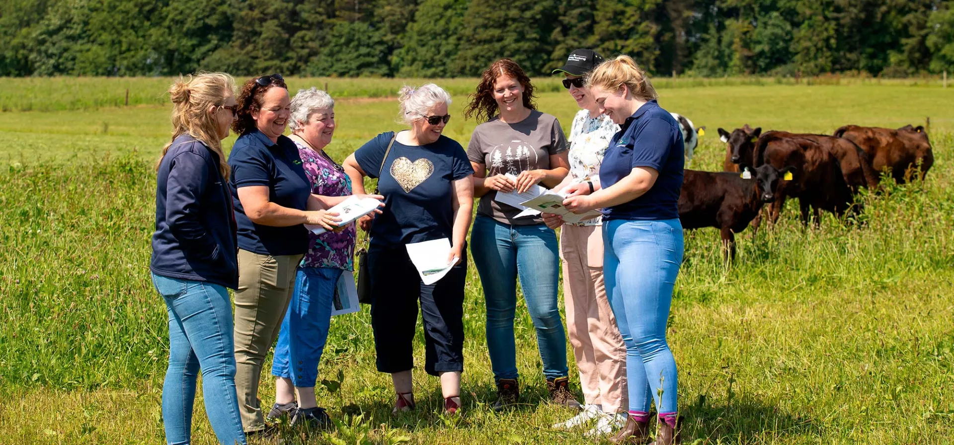 Frauen auf der Wiese neben Kühen