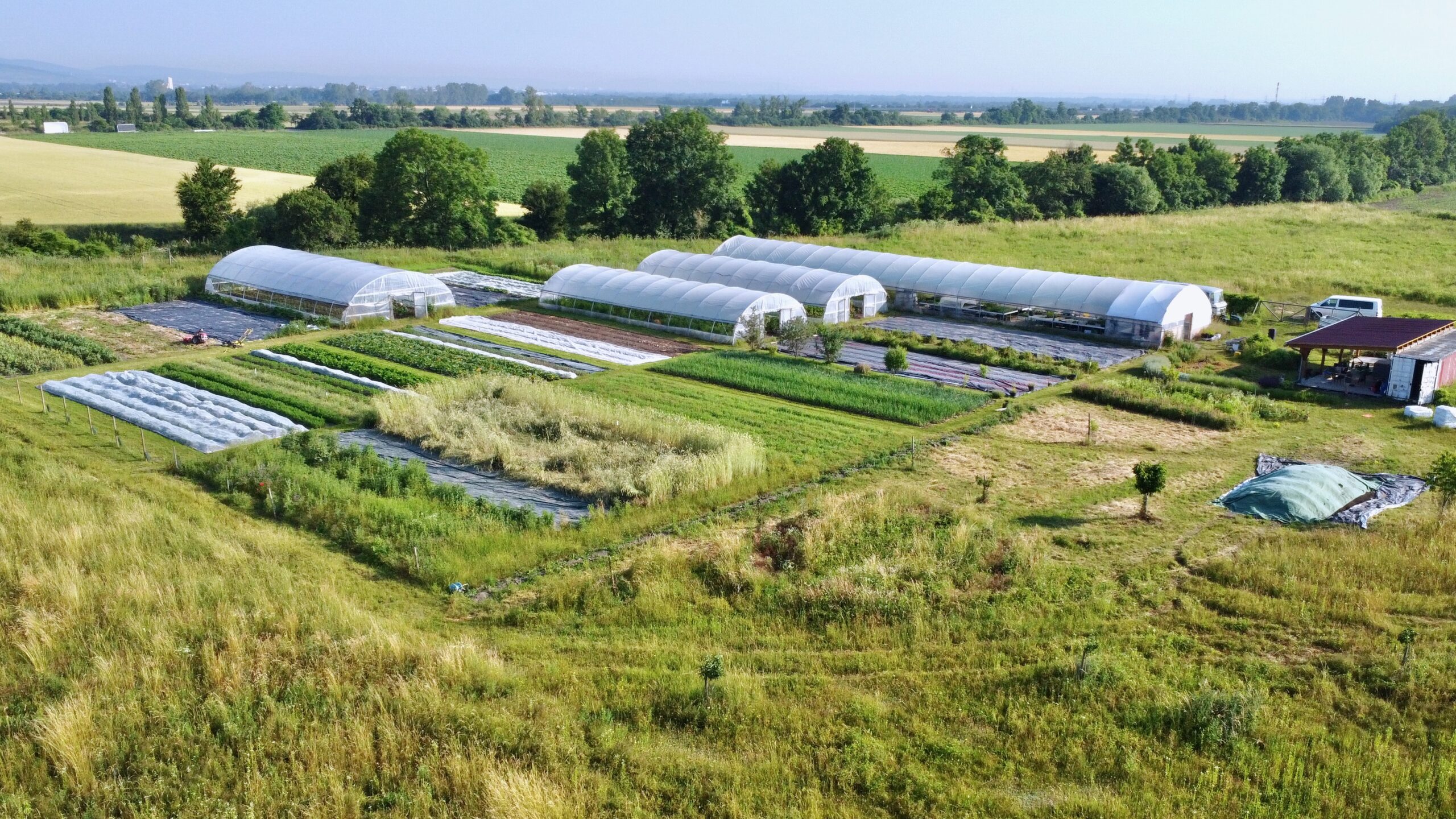 Gärtnerei mit Feldern und Folientunnel von oben
