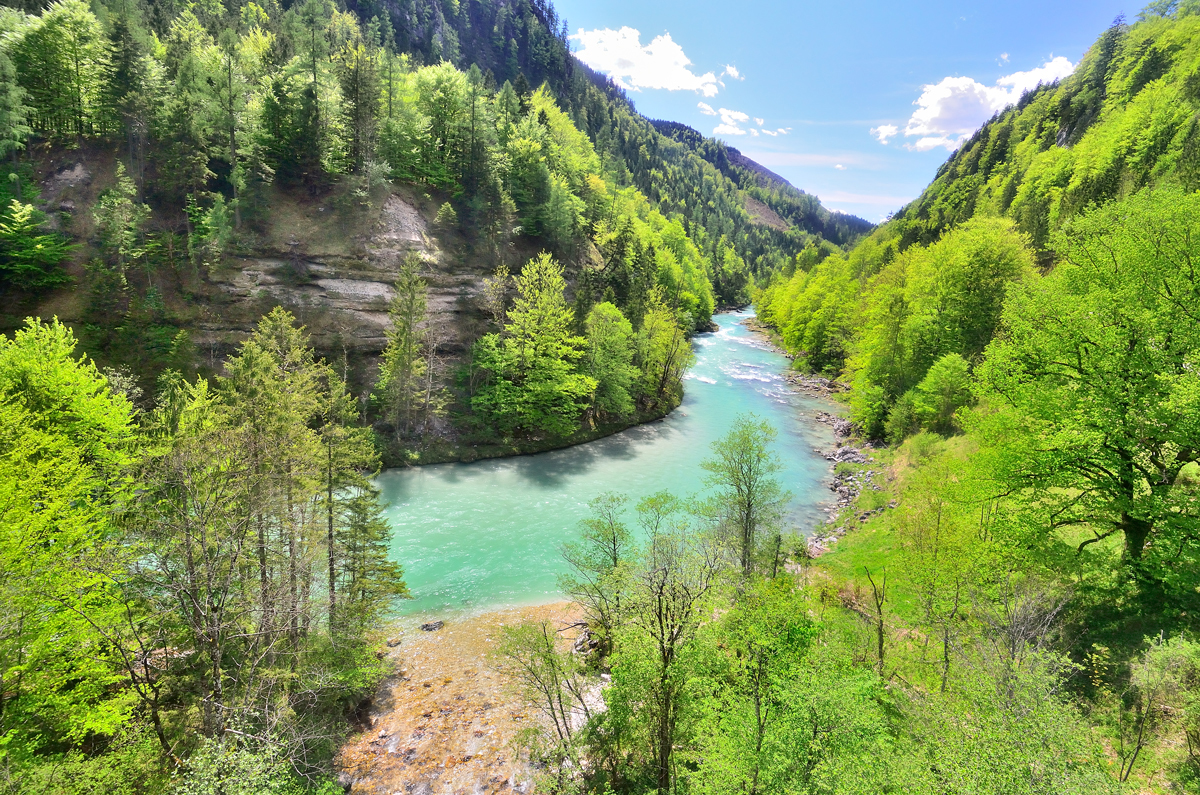 grünlicher Fluss zwischen bewaldeten Hängen