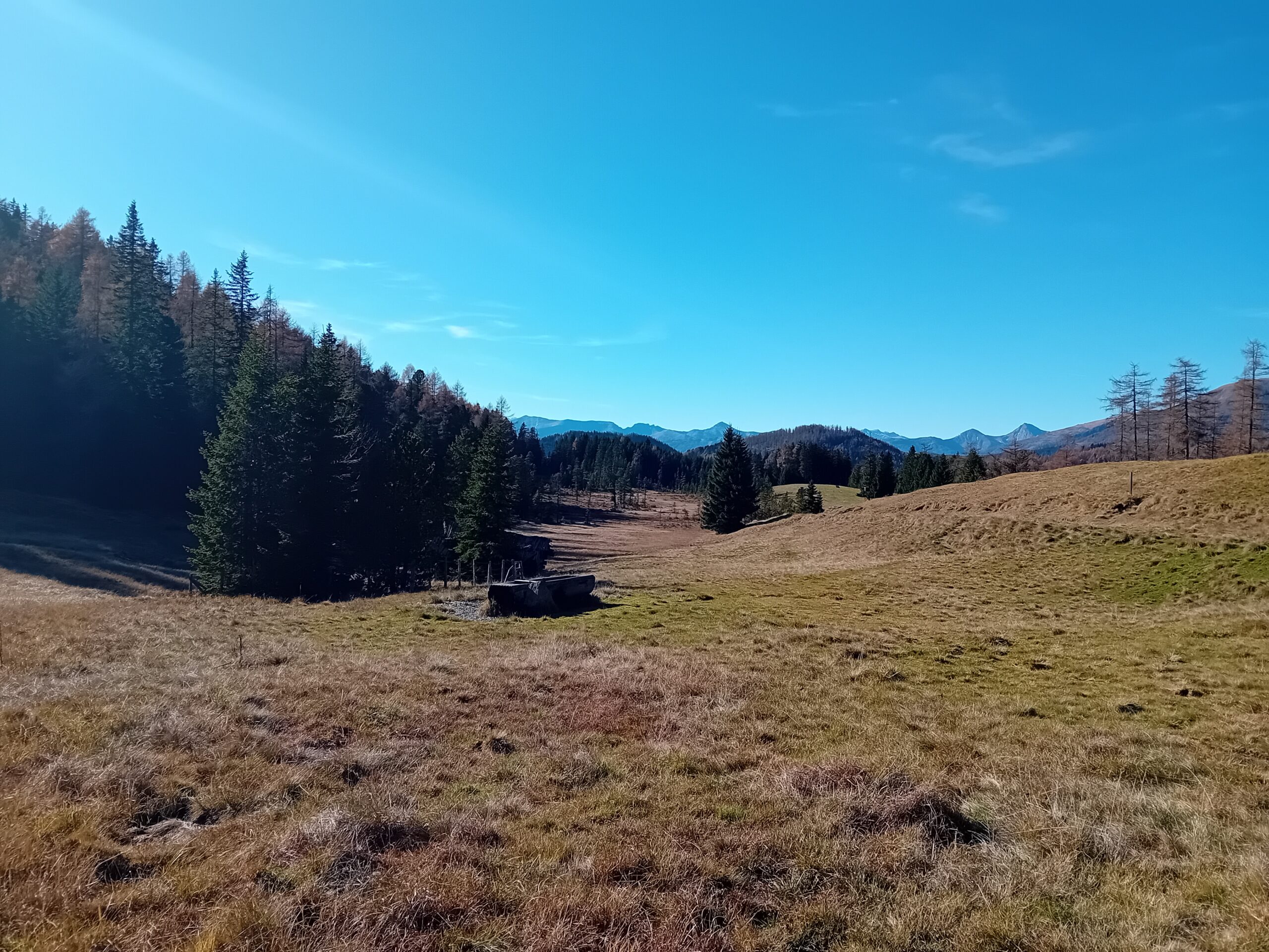 Im Vordergrund extensive Weide, im Hintergrund Moorfläche