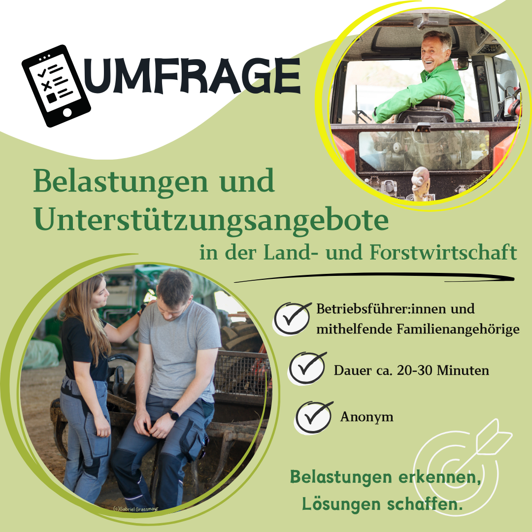 Grafik zur Umfrage