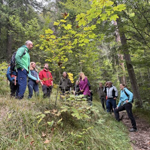 Personengruppe im Wald