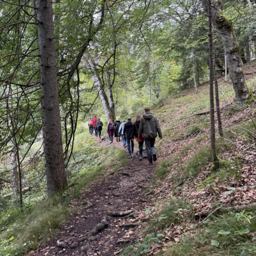 Personengruppe im Wald