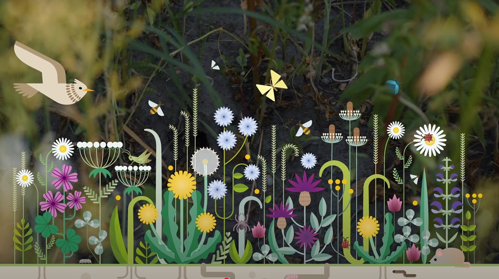 Podcast-Mehrnutzenhecken