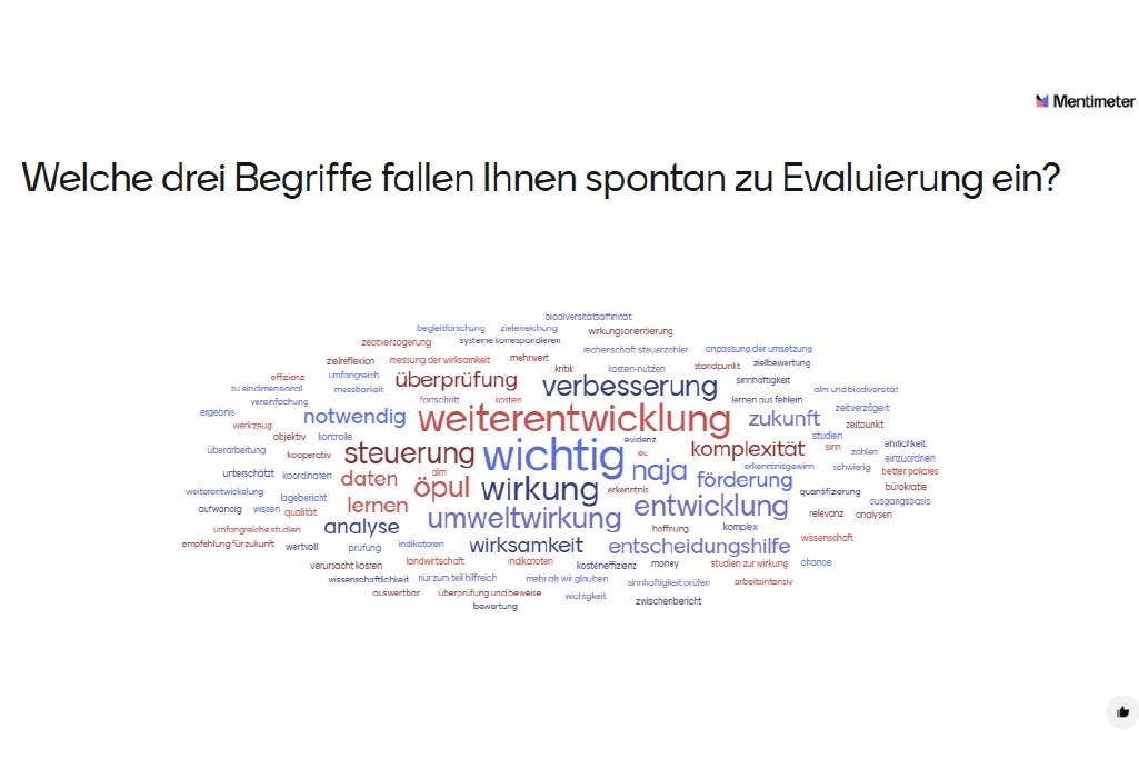 Wortwolke zum Thema Evaluierung
